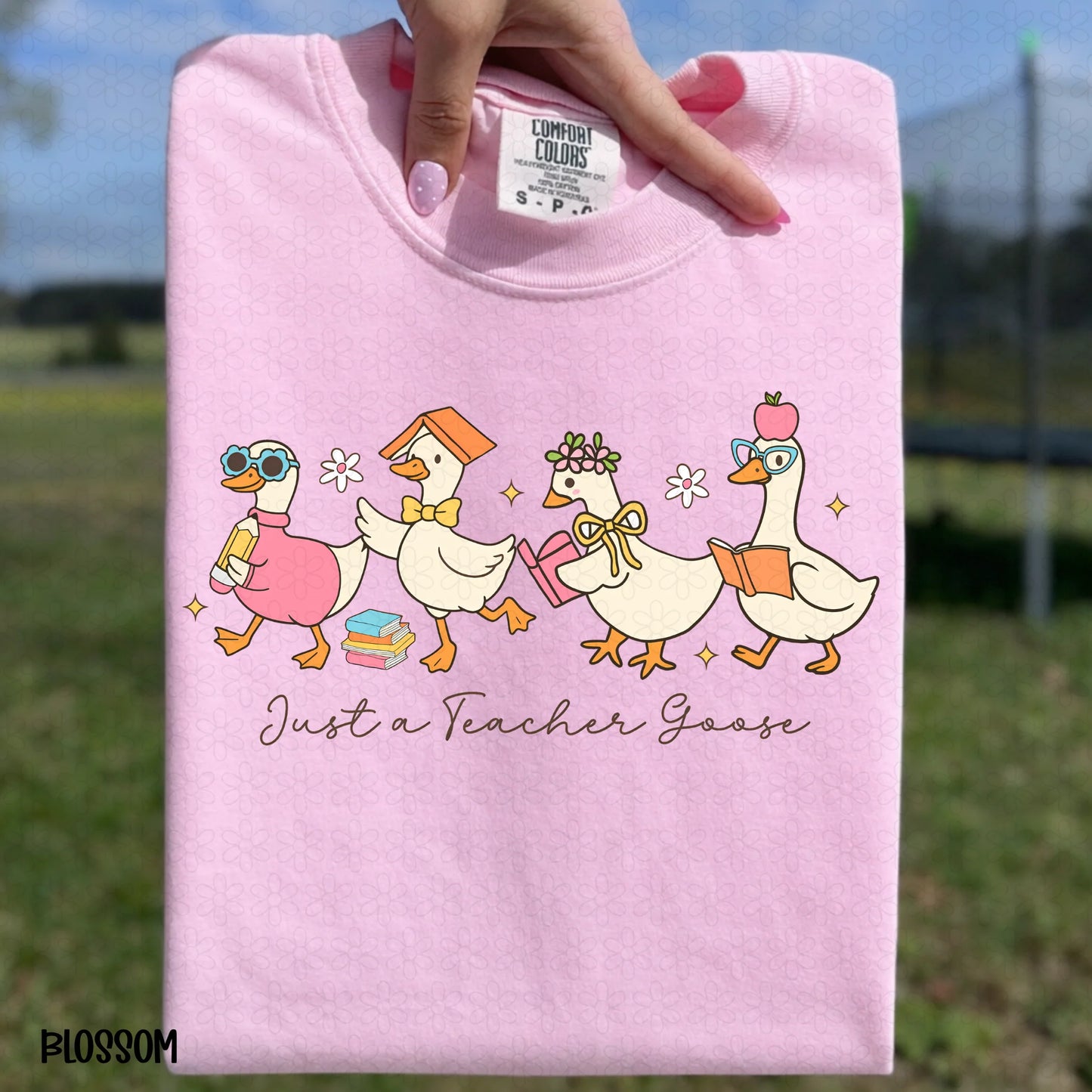 TEE TUESDAY - Just A Teacher Goose