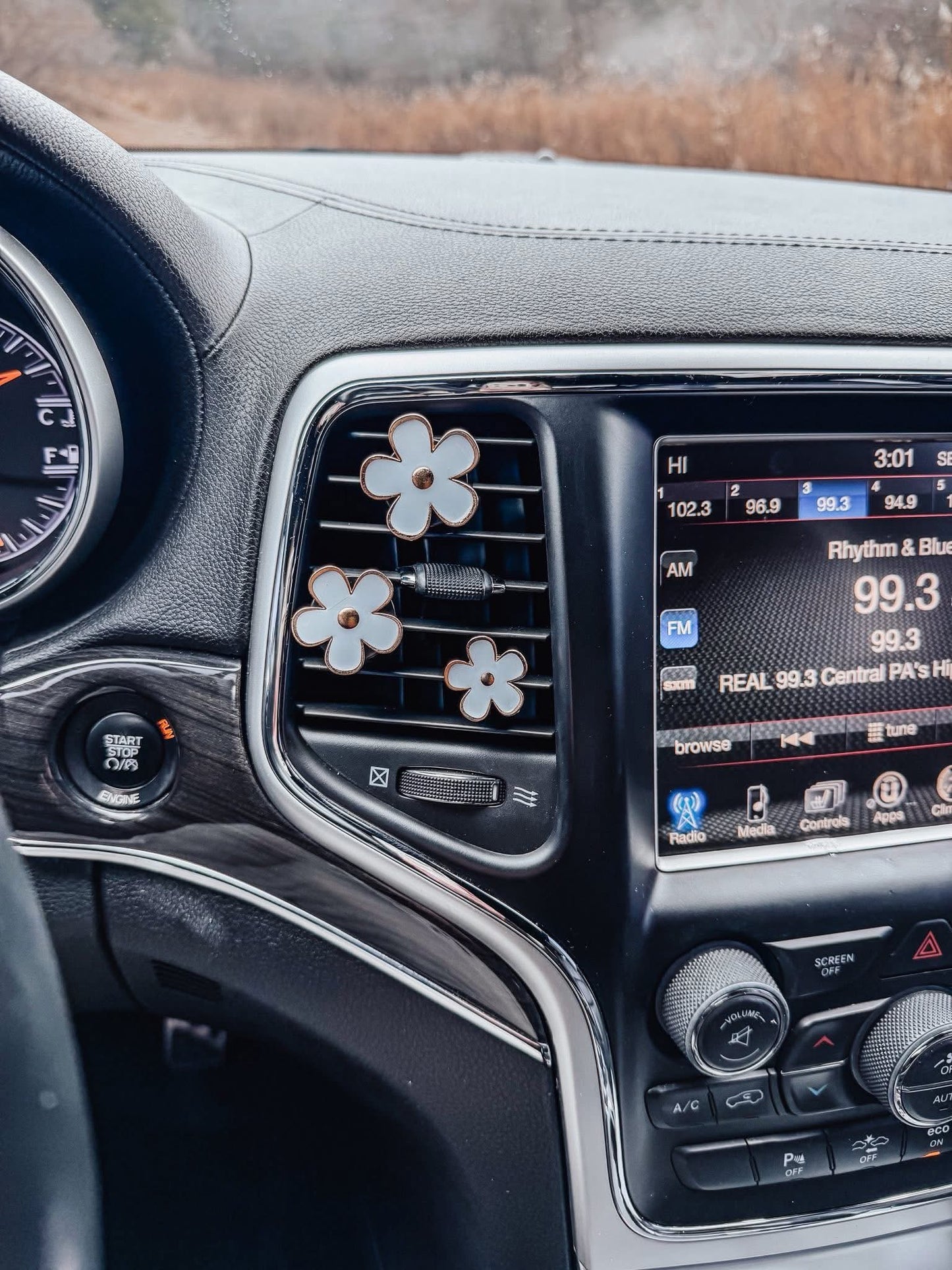 PREORDER Daisy Car Vent Clips (Set Of 3)
