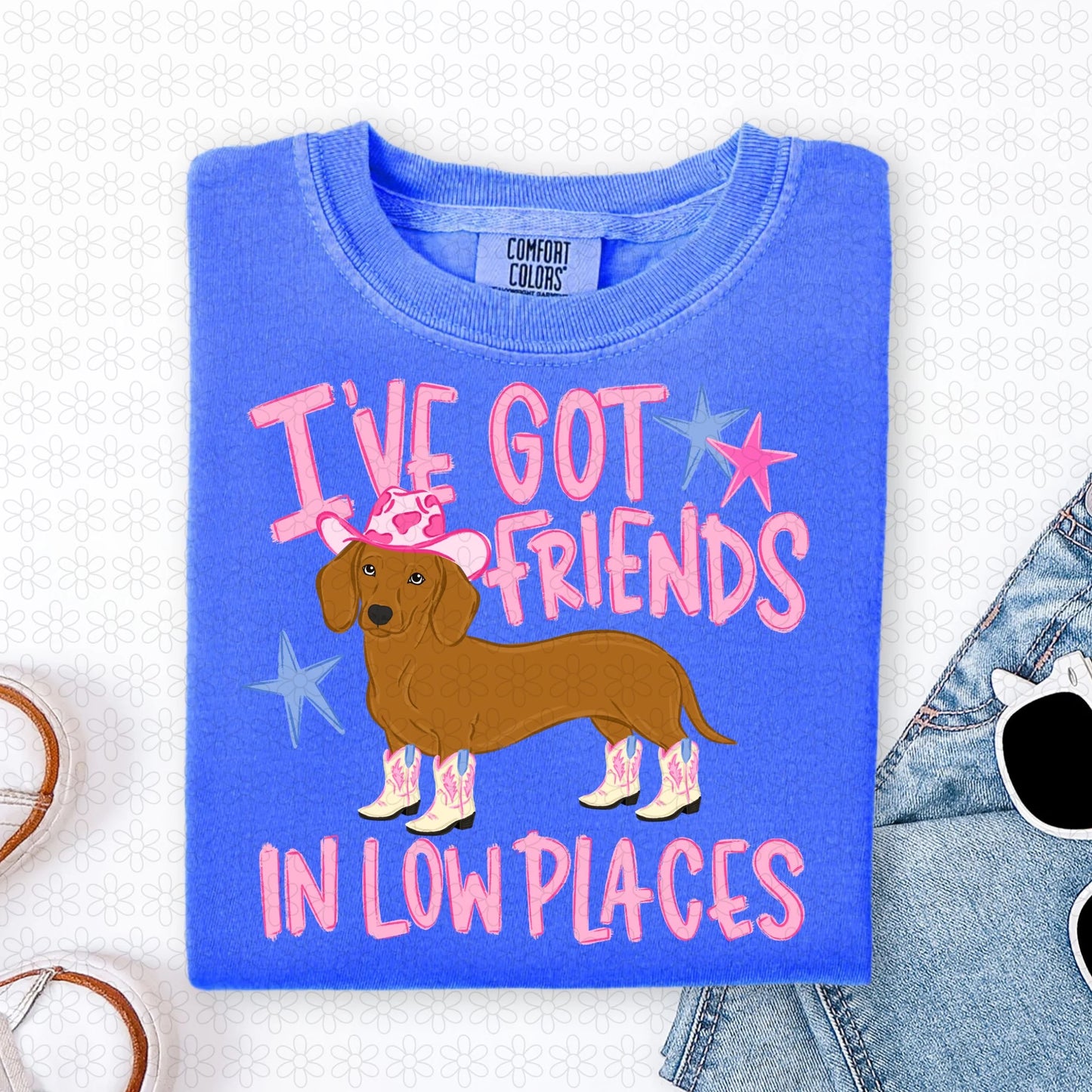 I've Got Friends In Low Places