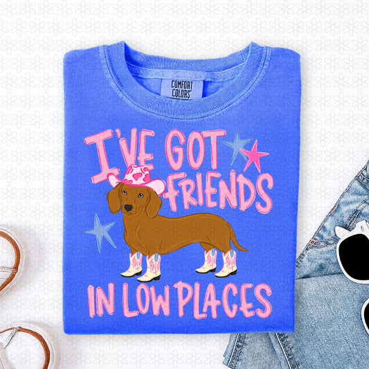 I've Got Friends In Low Places