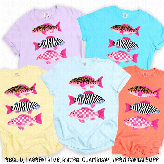 Leopard Zebra Fish